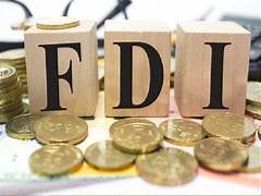 fdi và fpi